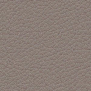 Leder Taupe